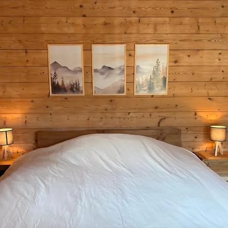 Cosy Au Pied Des Portes Du Soleil